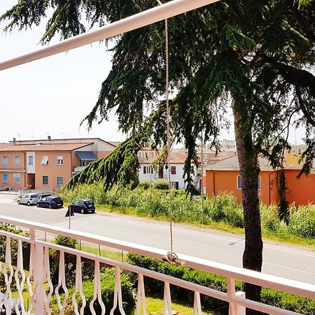 Apt. 7 - Villa Dei Pini 阿梅利亚 外观 照片