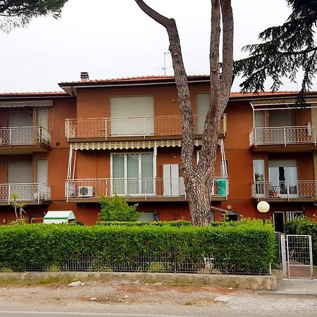 Apt. 7 - Villa Dei Pini 阿梅利亚 外观 照片