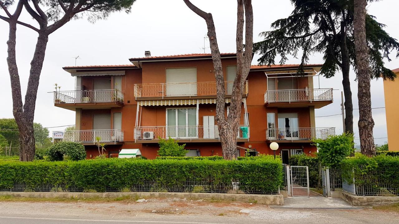 Apt. 7 - Villa Dei Pini 阿梅利亚 外观 照片